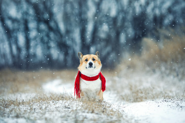 Similar image 21304558