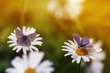 Similar image 21304559