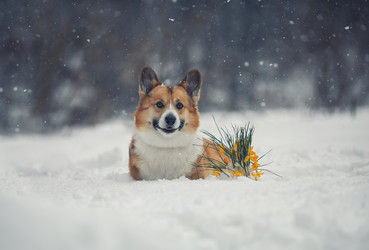 Similar image 21304561