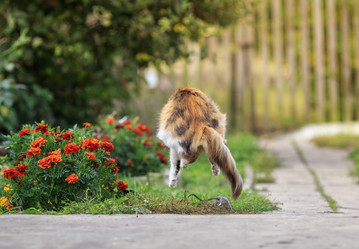 Similar image 21304562