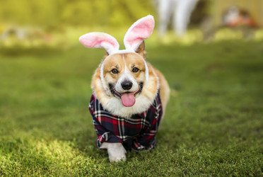 Similar image 21304568