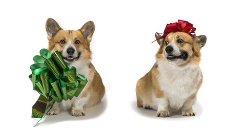 Similar image 21304572