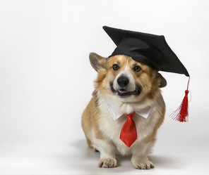 Similar image 21304577