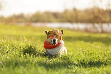 Similar image 21304584