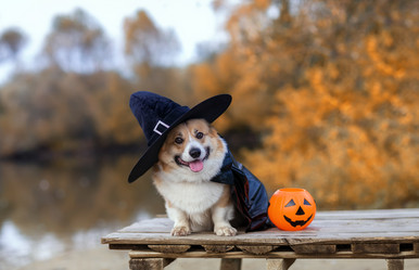 Similar image 21304585