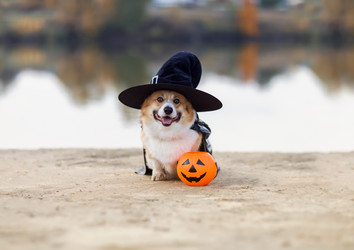 Similar image 21304586