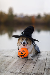 Similar image 21304587