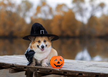 Similar image 21304588