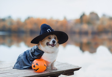 Similar image 21304589