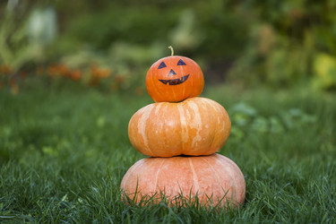 Similar image 21304591