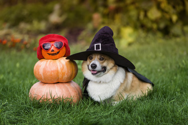 Similar image 21304594