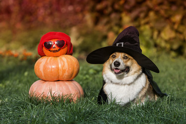 Similar image 21304595