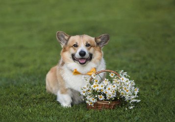 Similar image 21304596