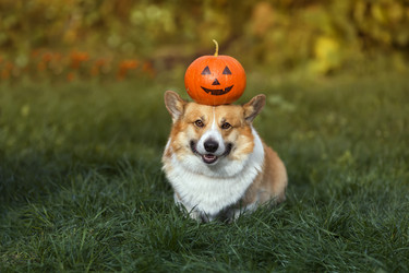 Similar image 21304597