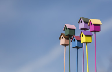 Similar image 21304599