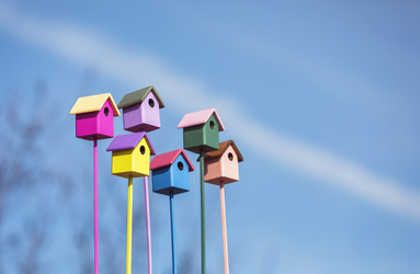 Similar image 21304600