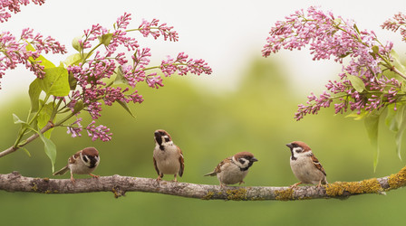 Similar image 21304603