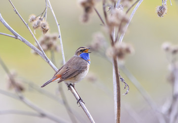 Similar image 21304606