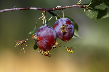 Similar image 21304608