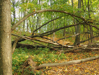 Similar image 21292977