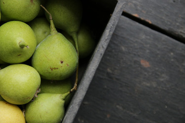 Similar image 21314063