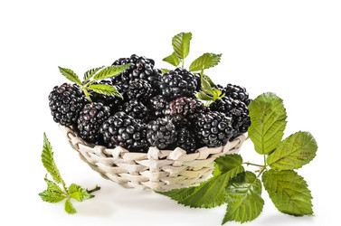 Similar image 21315776