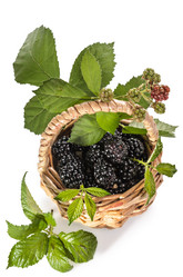 Similar image 21315777