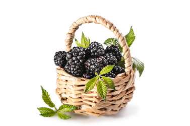 Similar image 21315778