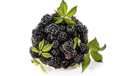 Similar image 21315780