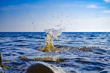 Similar image 21295160