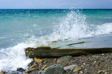 Similar image 21295161