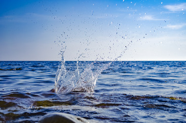 Similar image 21309113