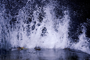 Similar image 21312743