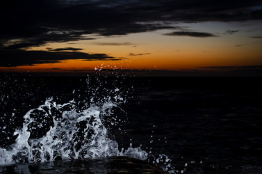 Similar image 21295168