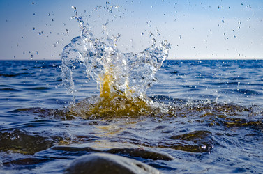 Similar image 21309125