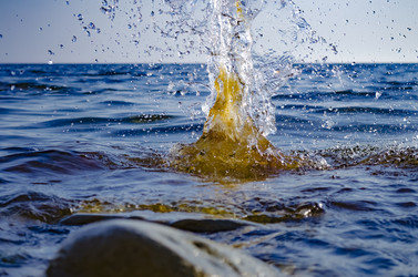 Similar image 21312668