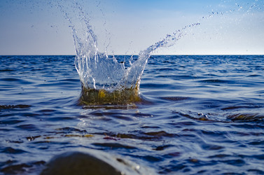 Similar image 21312669