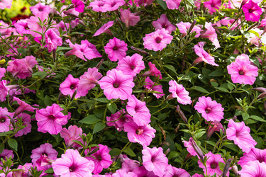 Similar image 21312814