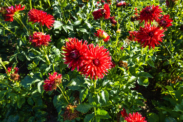 Similar image 21312817