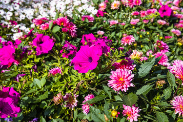 Similar image 21312820