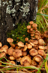 Similar image 21312297