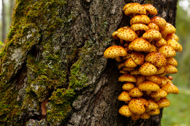 Similar image 21312301