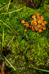 Similar image 21312307