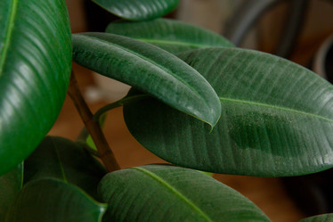 Similar image 21311890