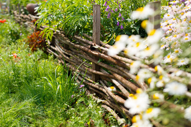 Similar image 21311911