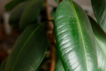 Similar image 21312318