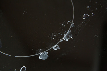 Similar image 21312321