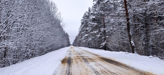 Similar image 21300461