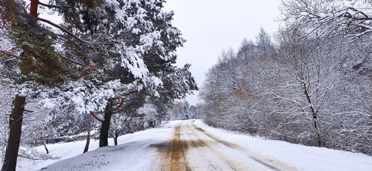 Similar image 21300901