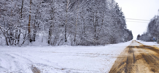 Similar image 21300902